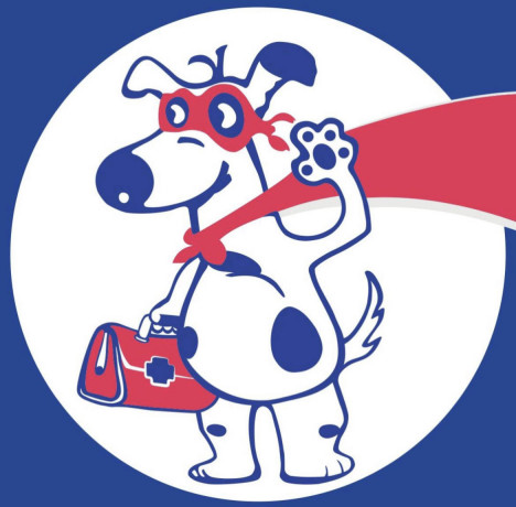 veterinariia-u-vas-na-domu-po-vyzovu-big-0