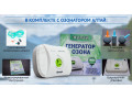 ocistitel-vozduxa-ozonator-altai-oplata-pri-polucenii-small-0