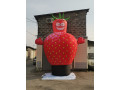 naduvnaia-figura-frukty-small-3