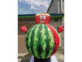 naduvnaia-figura-frukty-small-0